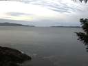./images/koeye/fitz-hugh/20201017/fitz-hugh20201017_080002.jpg