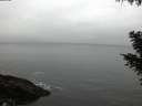./images/koeye/fitz-hugh/20201018/fitz-hugh20201018_080002.jpg