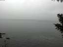 ./images/koeye/fitz-hugh/20201018/fitz-hugh20201018_120002.jpg