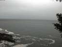 ./images/koeye/fitz-hugh/20201018/fitz-hugh20201018_180002.jpg