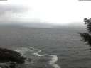 ./images/koeye/fitz-hugh/20201019/fitz-hugh20201019_080002.jpg
