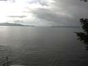 ./images/koeye/fitz-hugh/20201019/fitz-hugh20201019_140002.jpg