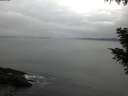 ./images/koeye/fitz-hugh/20201020/fitz-hugh20201020_080002.jpg