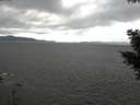 ./images/koeye/fitz-hugh/20201020/fitz-hugh20201020_140002.jpg