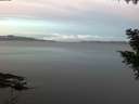 ./images/koeye/fitz-hugh/20201022/fitz-hugh20201022_080002.jpg