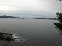 ./images/koeye/fitz-hugh/20201022/fitz-hugh20201022_140002.jpg