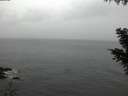 ./images/koeye/fitz-hugh/20201023/fitz-hugh20201023_080002.jpg