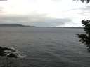 ./images/koeye/fitz-hugh/20201023/fitz-hugh20201023_100002.jpg