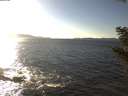 ./images/koeye/fitz-hugh/20201023/fitz-hugh20201023_160001.jpg