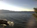 ./images/koeye/fitz-hugh/20201024/fitz-hugh20201024_140002.jpg