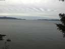 ./images/koeye/fitz-hugh/20201025/fitz-hugh20201025_100001.jpg
