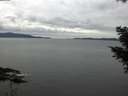 ./images/koeye/fitz-hugh/20201025/fitz-hugh20201025_120002.jpg