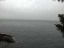 ./images/koeye/fitz-hugh/20201026/fitz-hugh20201026_080002.jpg