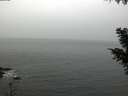./images/koeye/fitz-hugh/20201026/fitz-hugh20201026_100001.jpg