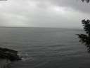 ./images/koeye/fitz-hugh/20201026/fitz-hugh20201026_140002.jpg