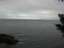 ./images/koeye/fitz-hugh/20201026/fitz-hugh20201026_160001.jpg