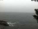 ./images/koeye/fitz-hugh/20201027/fitz-hugh20201027_080002.jpg