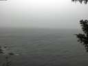 ./images/koeye/fitz-hugh/20201027/fitz-hugh20201027_100001.jpg