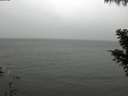 ./images/koeye/fitz-hugh/20201027/fitz-hugh20201027_120002.jpg