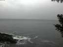 ./images/koeye/fitz-hugh/20201027/fitz-hugh20201027_180002.jpg