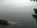 ./images/koeye/fitz-hugh/20201028/fitz-hugh20201028_080002.jpg