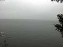 ./images/koeye/fitz-hugh/20201028/fitz-hugh20201028_120002.jpg