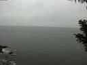 ./images/koeye/fitz-hugh/20201028/fitz-hugh20201028_140002.jpg