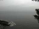 ./images/koeye/fitz-hugh/20201028/fitz-hugh20201028_160001.jpg