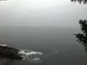 ./images/koeye/fitz-hugh/20201029/fitz-hugh20201029_080001.jpg