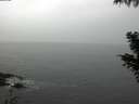 ./images/koeye/fitz-hugh/20201029/fitz-hugh20201029_100002.jpg