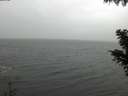 ./images/koeye/fitz-hugh/20201029/fitz-hugh20201029_120002.jpg