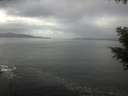 ./images/koeye/fitz-hugh/20201030/fitz-hugh20201030_125501.jpg