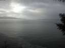 ./images/koeye/fitz-hugh/20201030/fitz-hugh20201030_130002.jpg