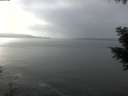 ./images/koeye/fitz-hugh/20201030/fitz-hugh20201030_130502.jpg