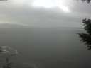./images/koeye/fitz-hugh/20201030/fitz-hugh20201030_131002.jpg