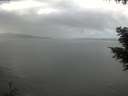./images/koeye/fitz-hugh/20201030/fitz-hugh20201030_131502.jpg