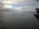 ./images/koeye/fitz-hugh/20201030/fitz-hugh20201030_132502.jpg