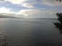./images/koeye/fitz-hugh/20201030/fitz-hugh20201030_133002.jpg