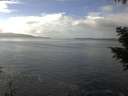 ./images/koeye/fitz-hugh/20201030/fitz-hugh20201030_133502.jpg
