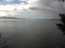 ./images/koeye/fitz-hugh/20201030/fitz-hugh20201030_134002.jpg