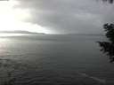 ./images/koeye/fitz-hugh/20201030/fitz-hugh20201030_135002.jpg