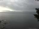 ./images/koeye/fitz-hugh/20201030/fitz-hugh20201030_135502.jpg