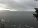 ./images/koeye/fitz-hugh/20201030/fitz-hugh20201030_140002.jpg