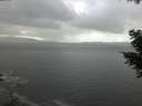 ./images/koeye/fitz-hugh/20201030/fitz-hugh20201030_140502.jpg
