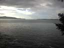 ./images/koeye/fitz-hugh/20201030/fitz-hugh20201030_142501.jpg