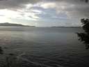 ./images/koeye/fitz-hugh/20201030/fitz-hugh20201030_143001.jpg