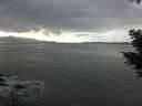 ./images/koeye/fitz-hugh/20201030/fitz-hugh20201030_145501.jpg