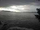 ./images/koeye/fitz-hugh/20201030/fitz-hugh20201030_150501.jpg
