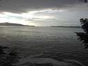 ./images/koeye/fitz-hugh/20201030/fitz-hugh20201030_151001.jpg