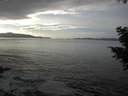 ./images/koeye/fitz-hugh/20201030/fitz-hugh20201030_151501.jpg